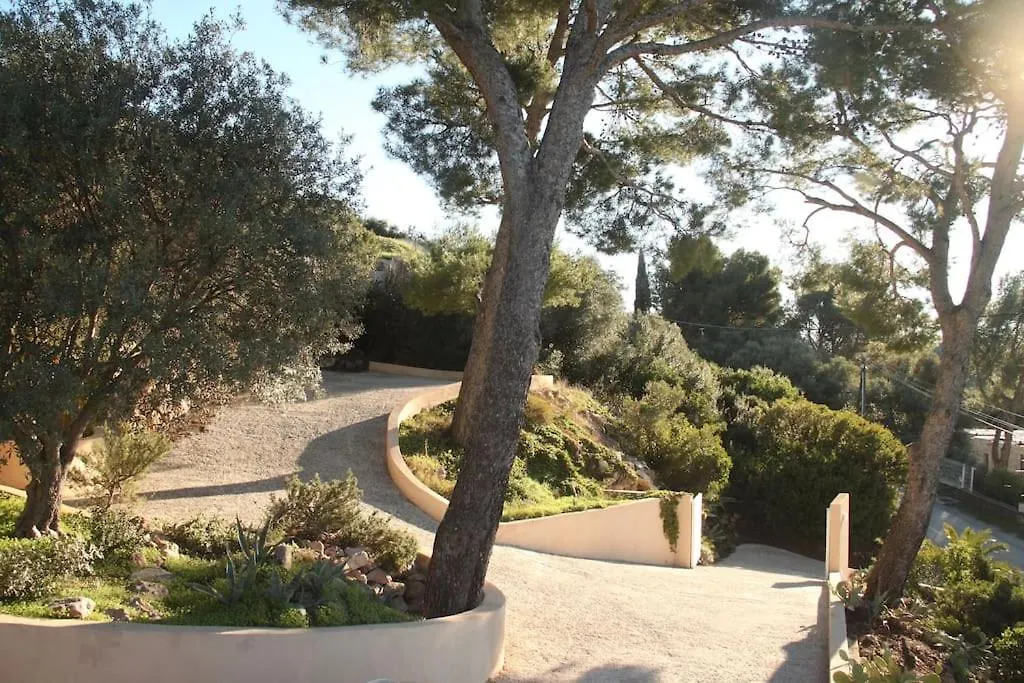 Villa Palm Springs Superb Sea View, Terrasse And Swimming Pool Carqueiranne Frankrijk