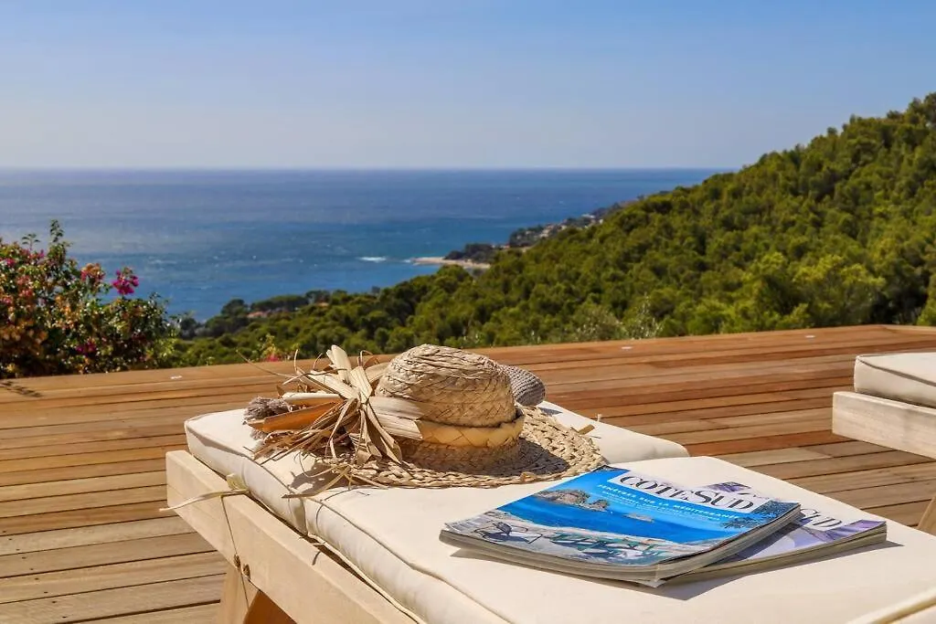 Villa Palm Springs Superb Sea View, Terrasse And Swimming Pool Carqueiranne